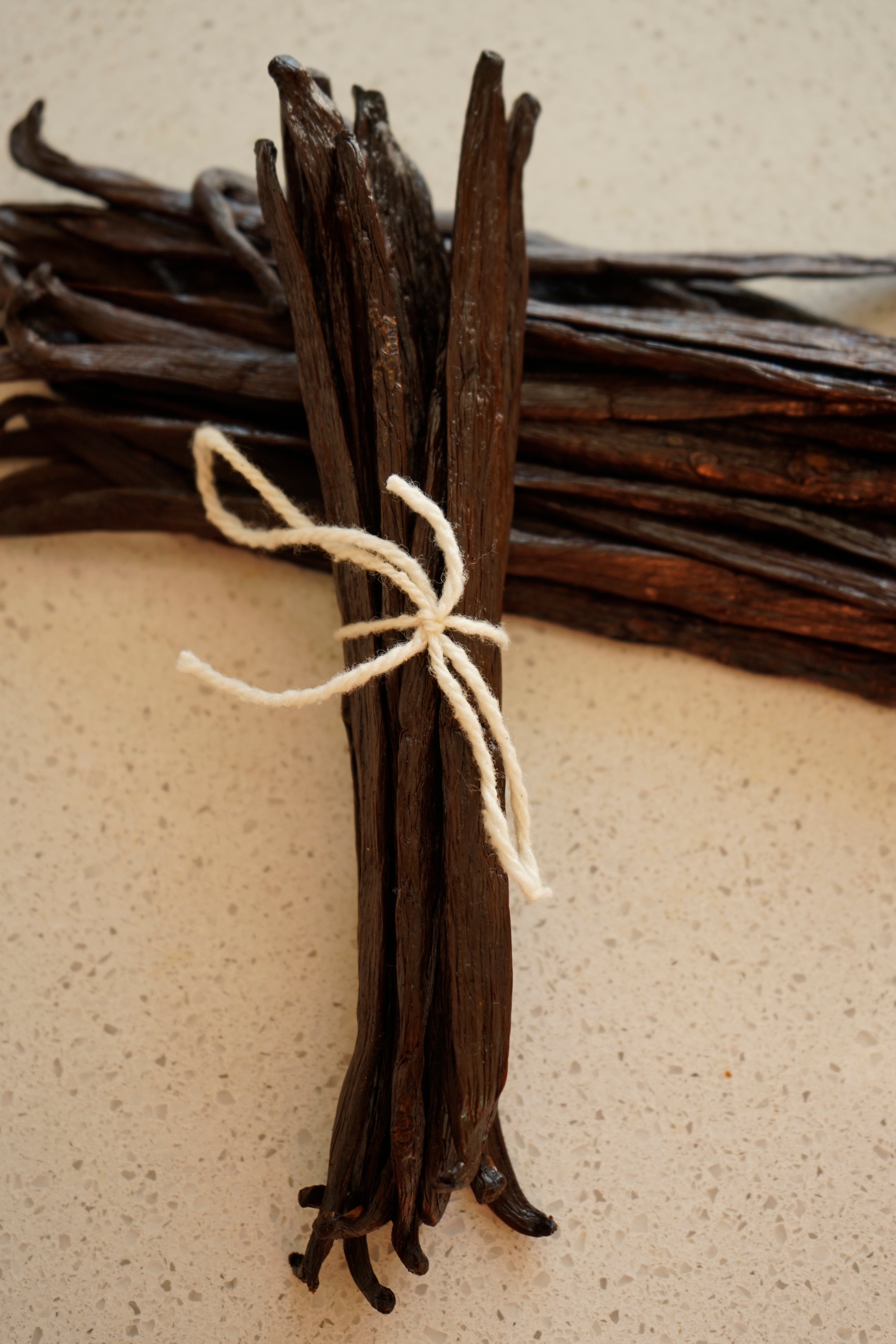 Vanilla Beans – Grade B Extract Quality