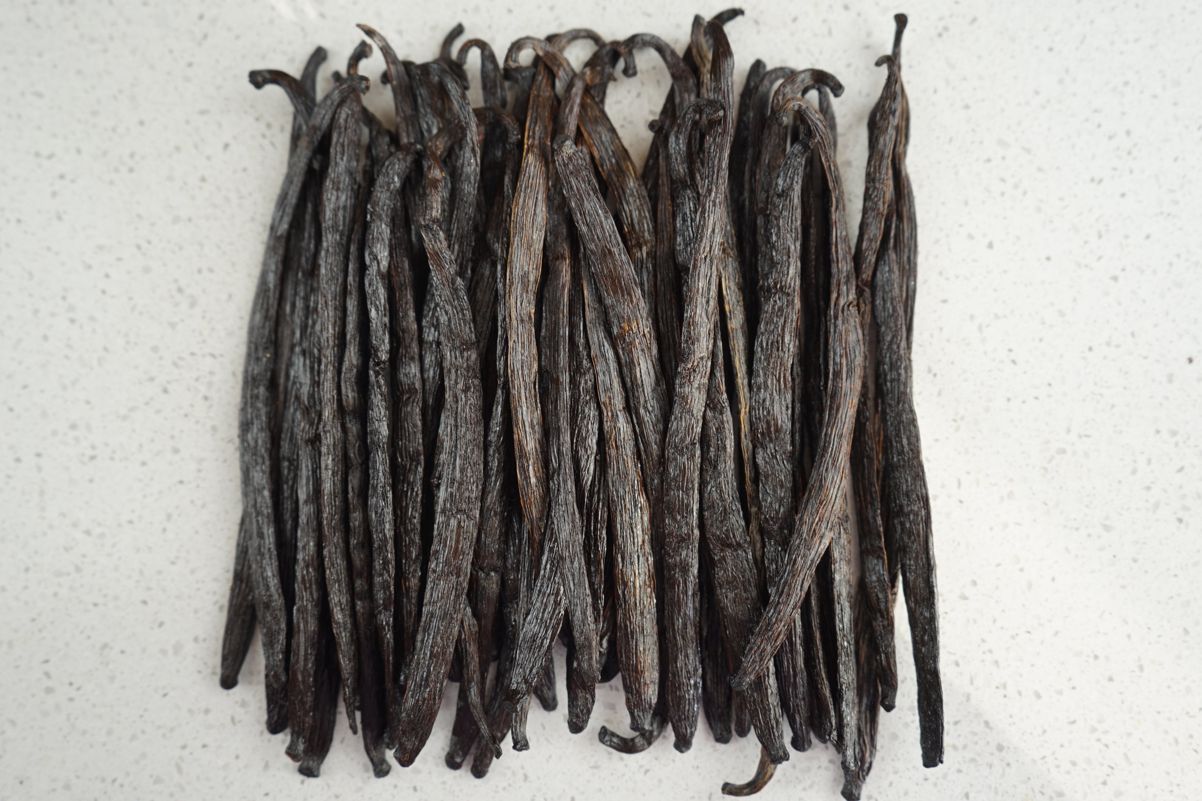 Vanilla Beans – Grade B Extract Quality