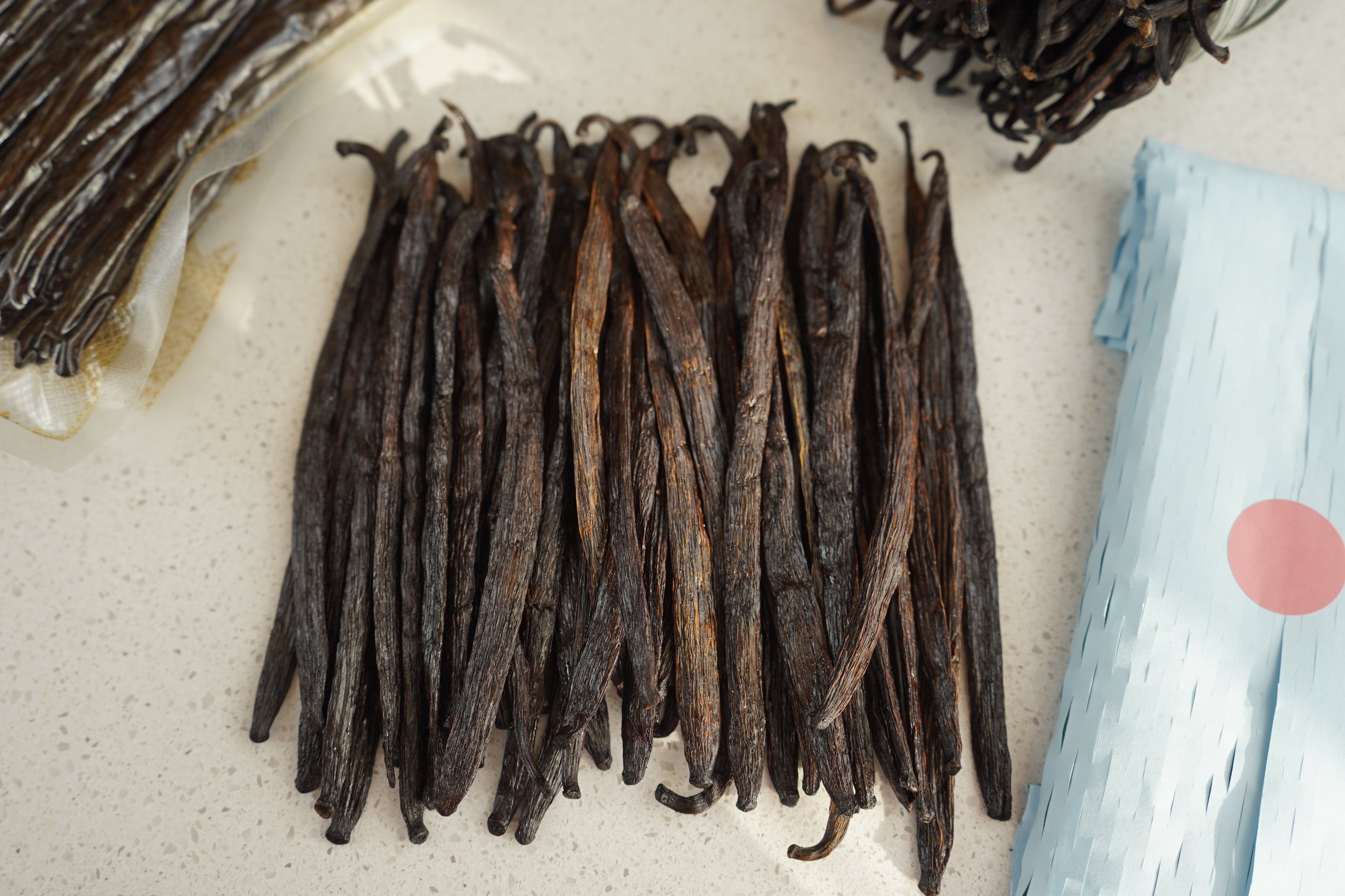 Vanilla Beans – Grade B Extract Quality