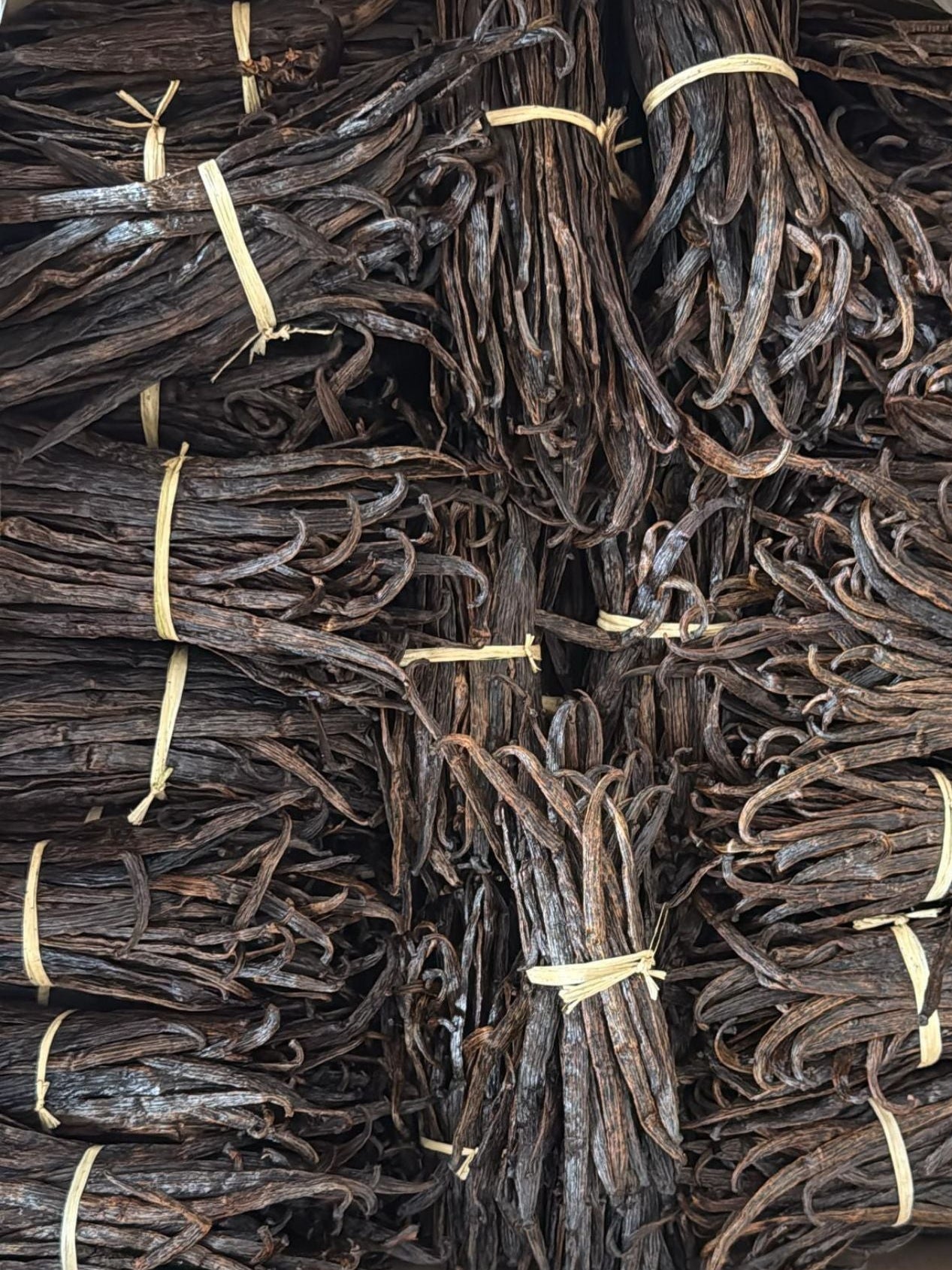 Vanilla Beans – Grade B Extract Quality